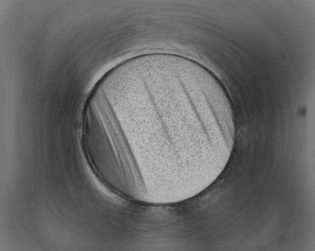 X0000088901523200707061443