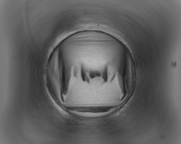 X0000088901525200707061443