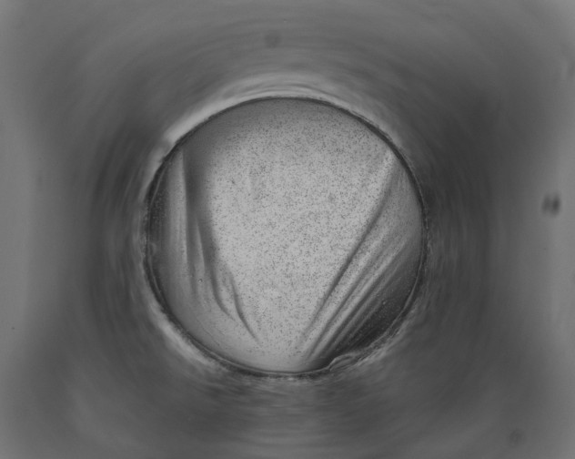 X0000088901526200707061443