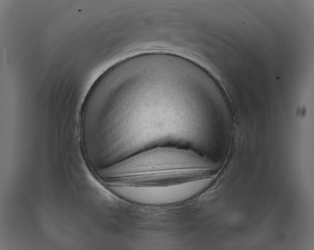 X0000088901527200707061443