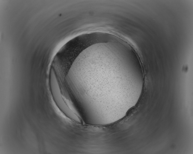 X0000088901528200707061443