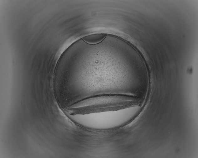 X0000088901529200707061443