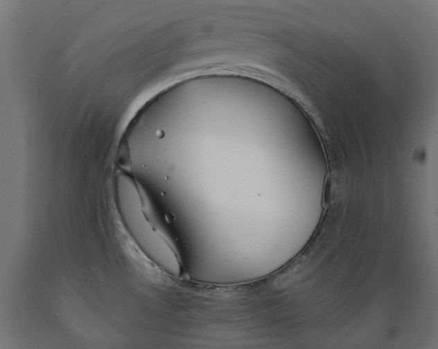 X0000088901530200707061443