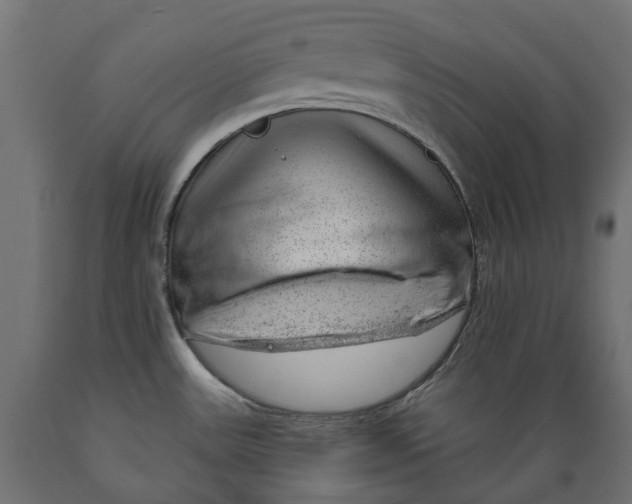 X0000088901531200707061443