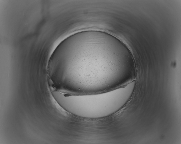 X0000088901532200707061443