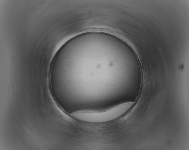 X0000088901533200707061443