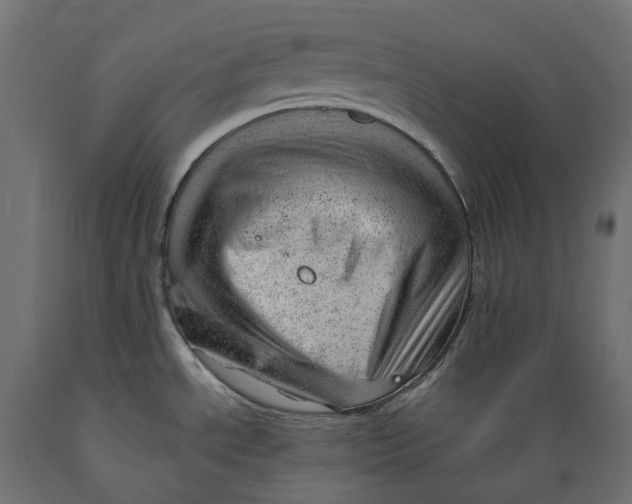 X0000088901534200707061443