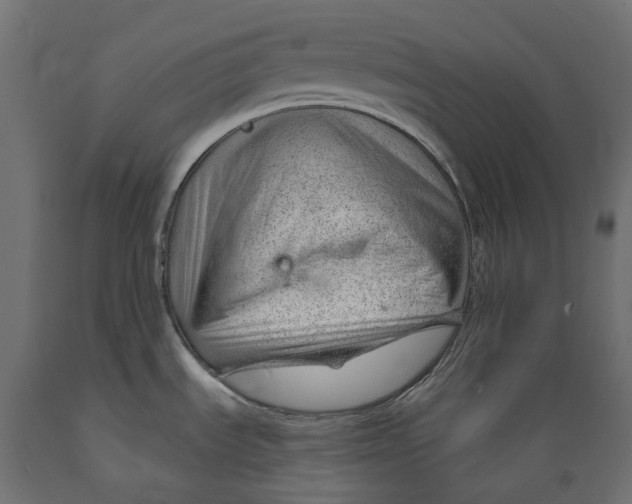 X0000088901535200707061443