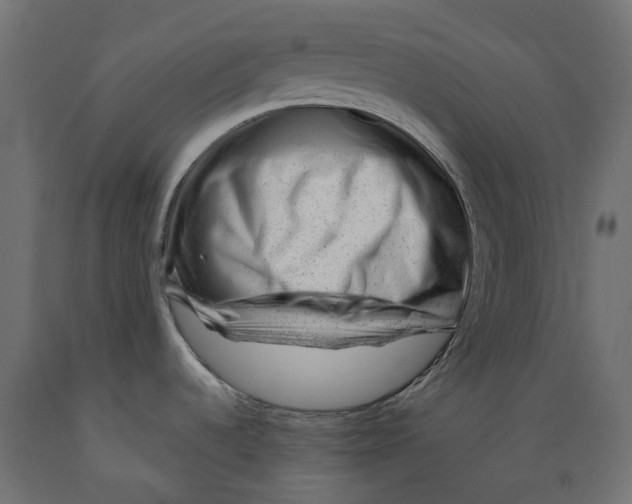 X0000088901536200707061443