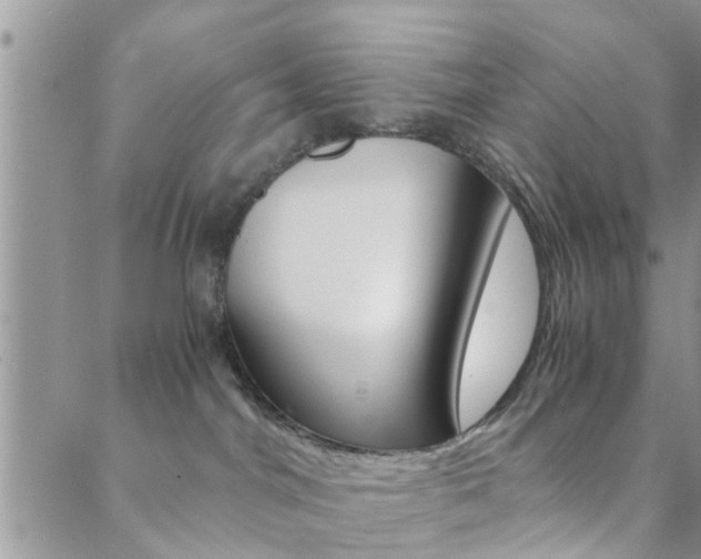 X0000088910044200706080836