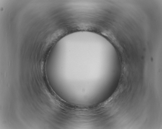 X0000088910066200706080836