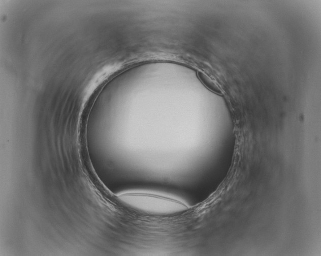 X0000088910104200706080835
