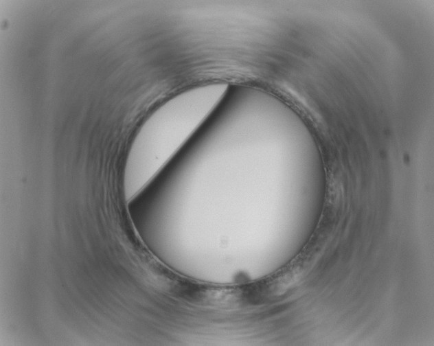 X0000088910117200706080835