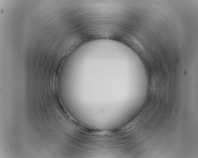 X0000088910122200706080835
