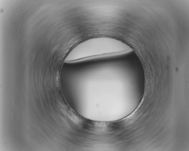 X0000088910144200706080835