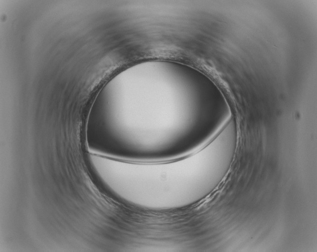 X0000088910154200706080834