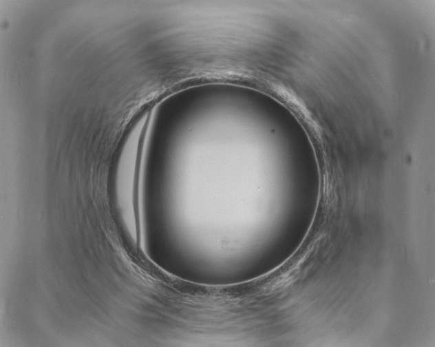 X0000088910201200706080834