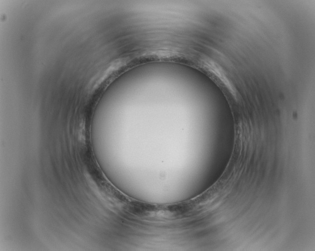 X0000088910212200706080833