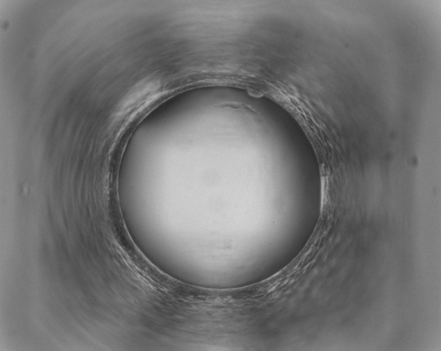 X0000088910243200706080832