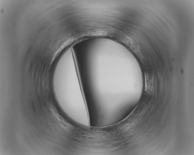 X0000088910300200706080832