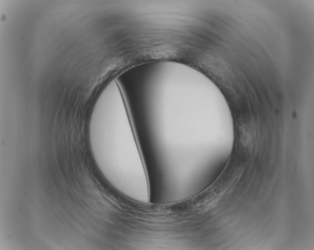 X0000088910308200706080832