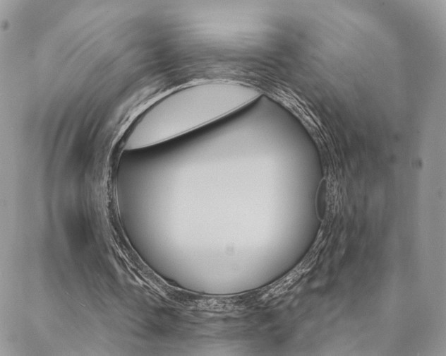 X0000088910338200706080831
