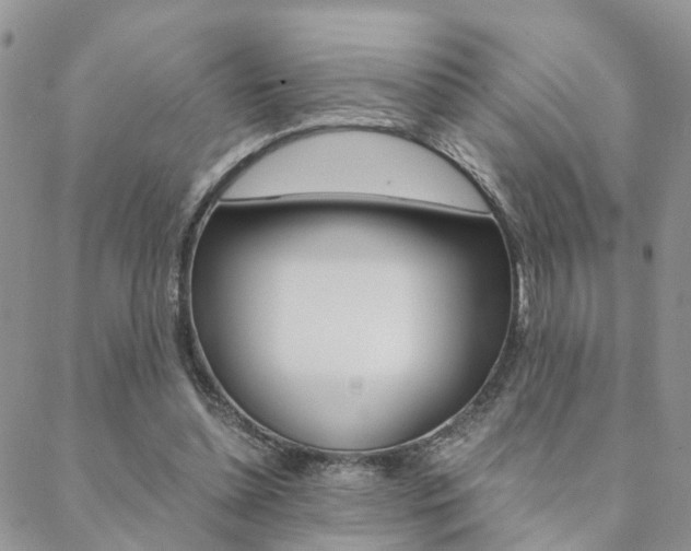 X0000088910348200706080831
