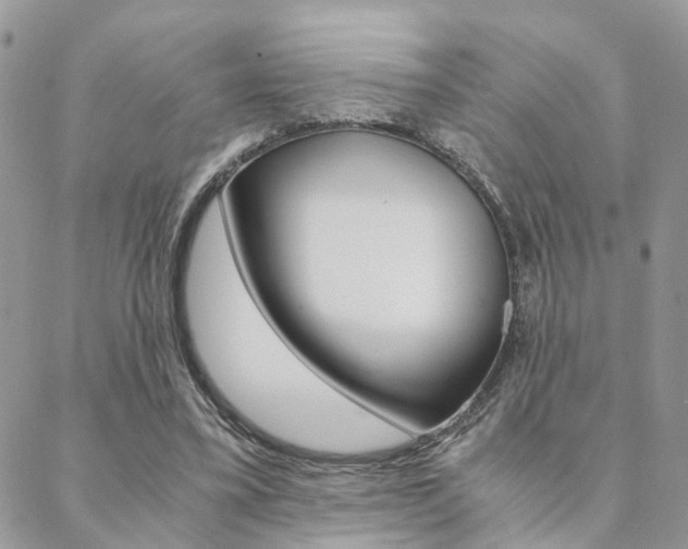 X0000088910395200706080830