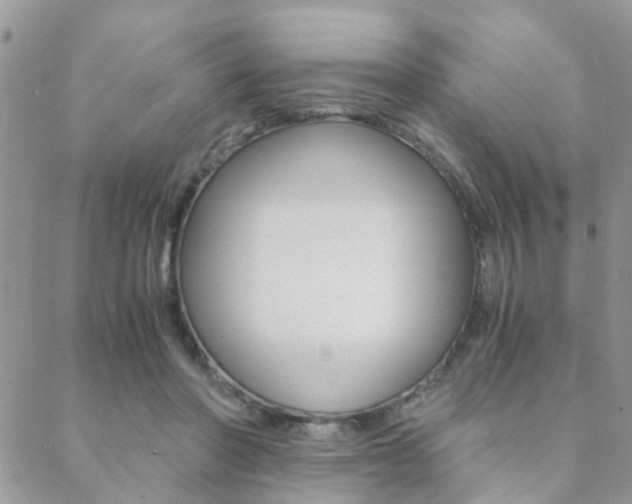 X0000088910406200706080830