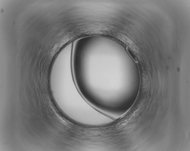 X0000088910489200706080829