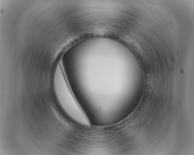 X0000088910496200706080829