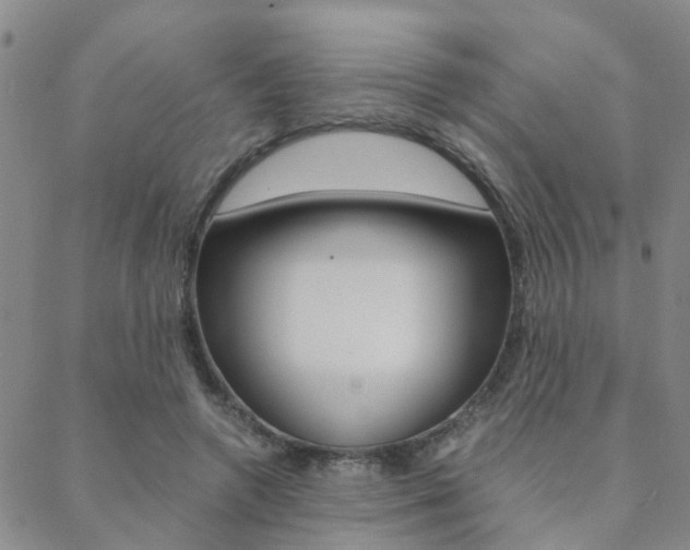 X0000088910546200706080828