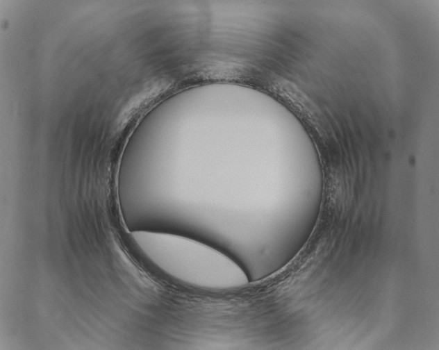 X0000088910586200706080827