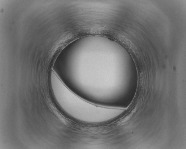 X0000088910589200706080827