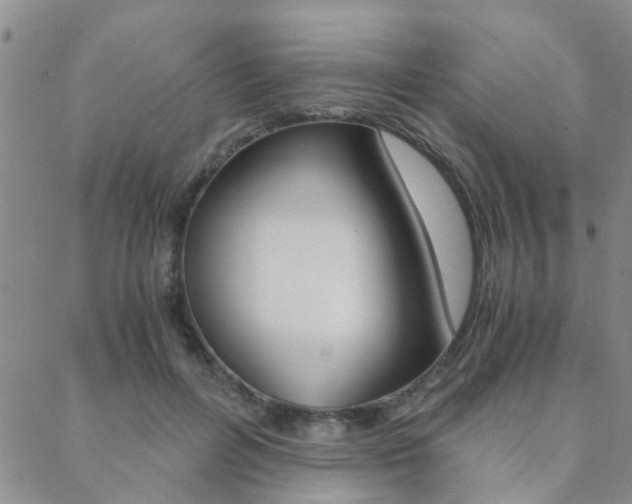 X0000088910600200706080827