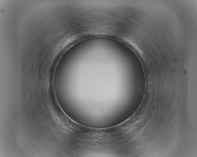 X0000088910631200706080826