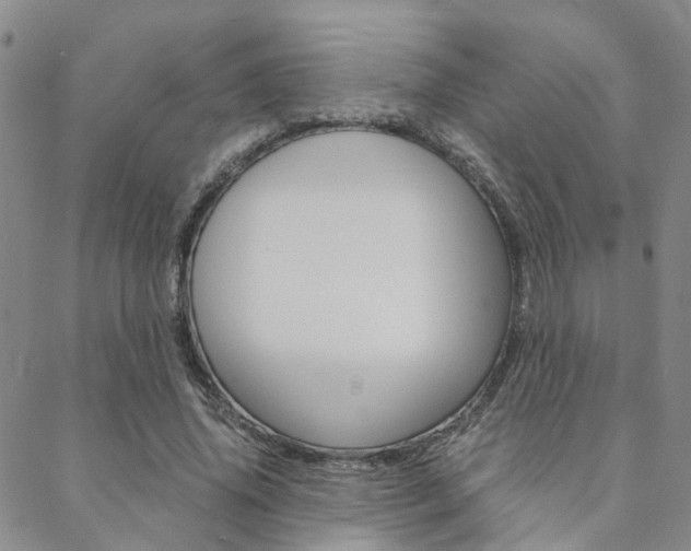 X0000088910636200706080826