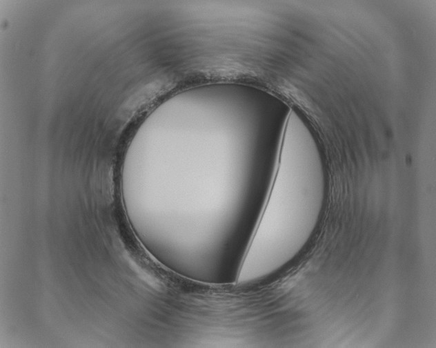 X0000088910638200706080826