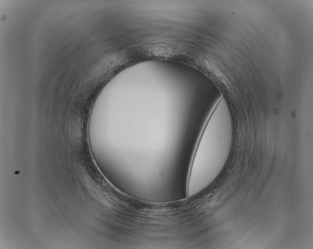 X0000088910639200706080826