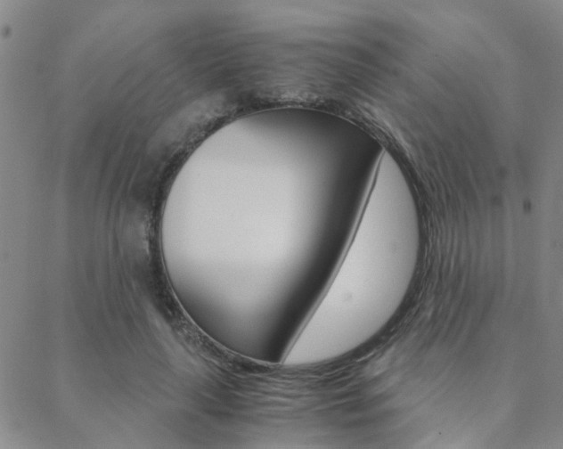 X0000088910643200706080826