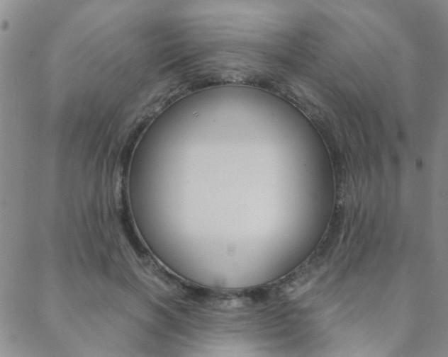 X0000088910646200706080826