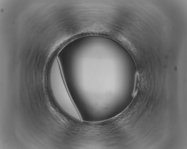 X0000088910680200706080826