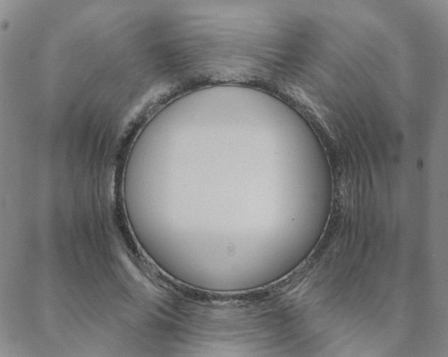 X0000088910686200706080826
