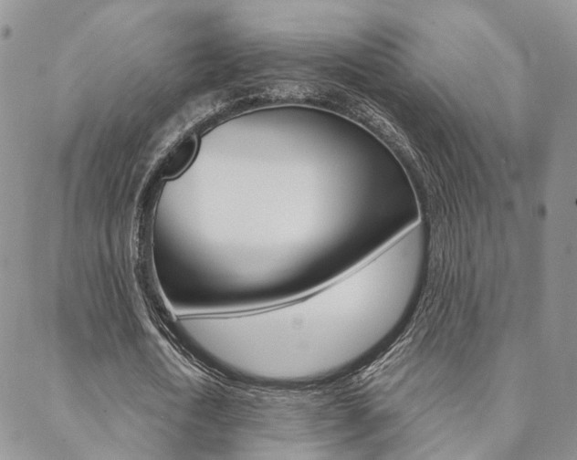 X0000088910722200706080824