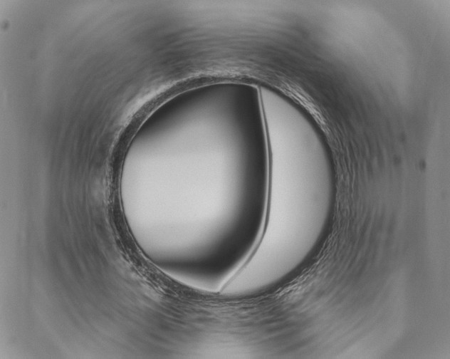 X0000088910724200706080824