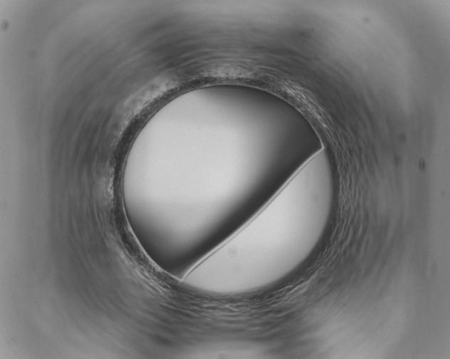 X0000088910727200706080825