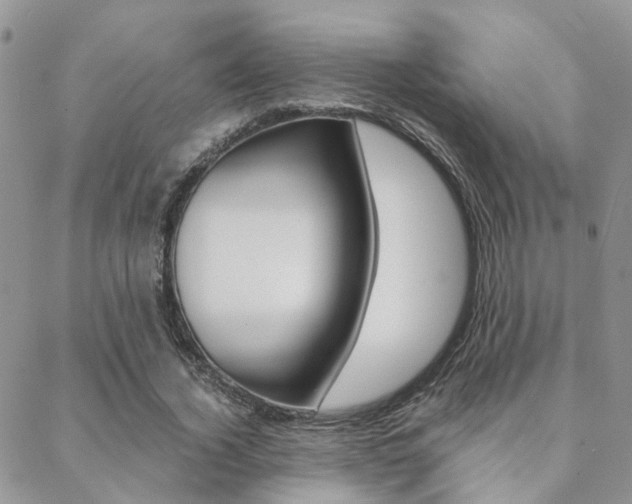 X0000088910732200706080825