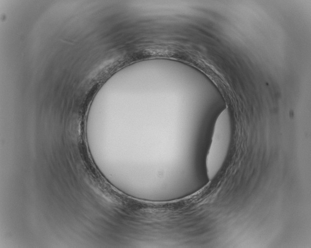 X0000088910733200706080825