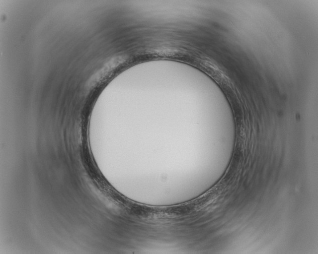X0000088910734200706080825