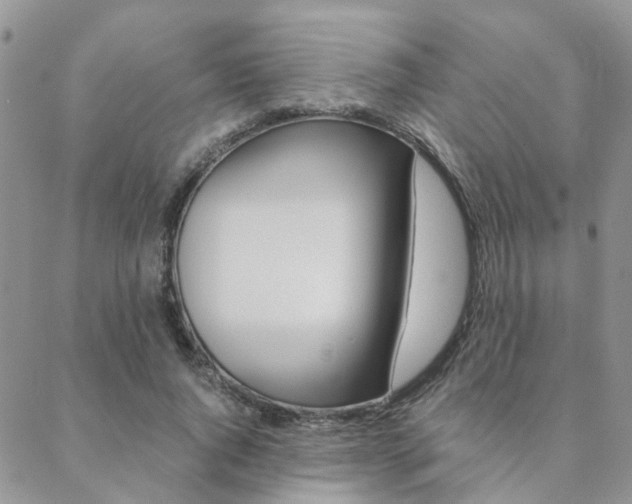 X0000088910736200706080825